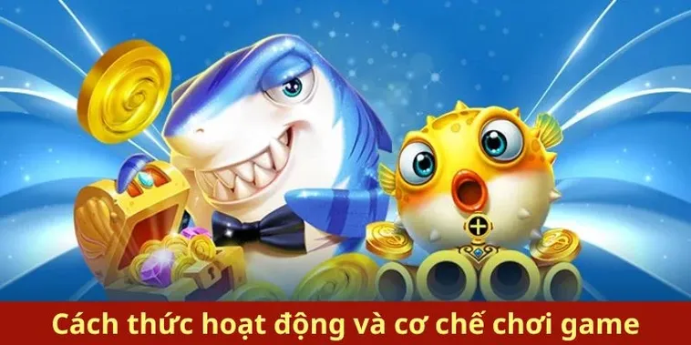 Hướng Dẫn Cách Chơi Bắn Cá Royal Fishing Tại ClubV Hiệu Quả Nhất 2 Hướng Dẫn Cách Chơi Bắn Cá Royal Fishing Tại ClubV Hiệu Quả Nhất